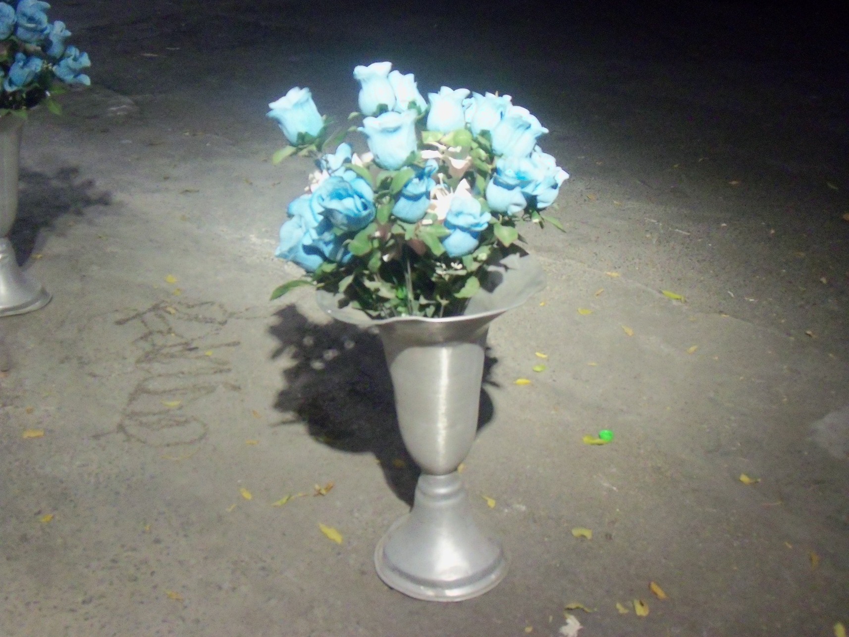 FLORES